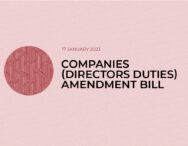 Companies (Directors Duties) Amendment Bill Submission