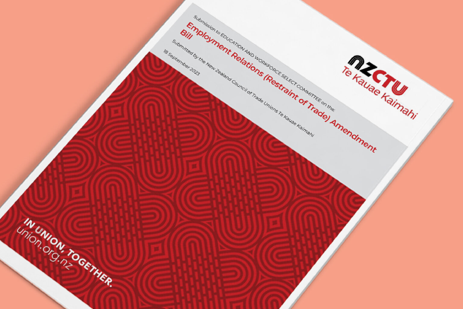 Select Committee Submission on Employment Relations (Restraint of Trade