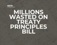 Millions wasted on treaty principles bill