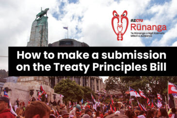 How to make a submission on the Treaty Principles Bill