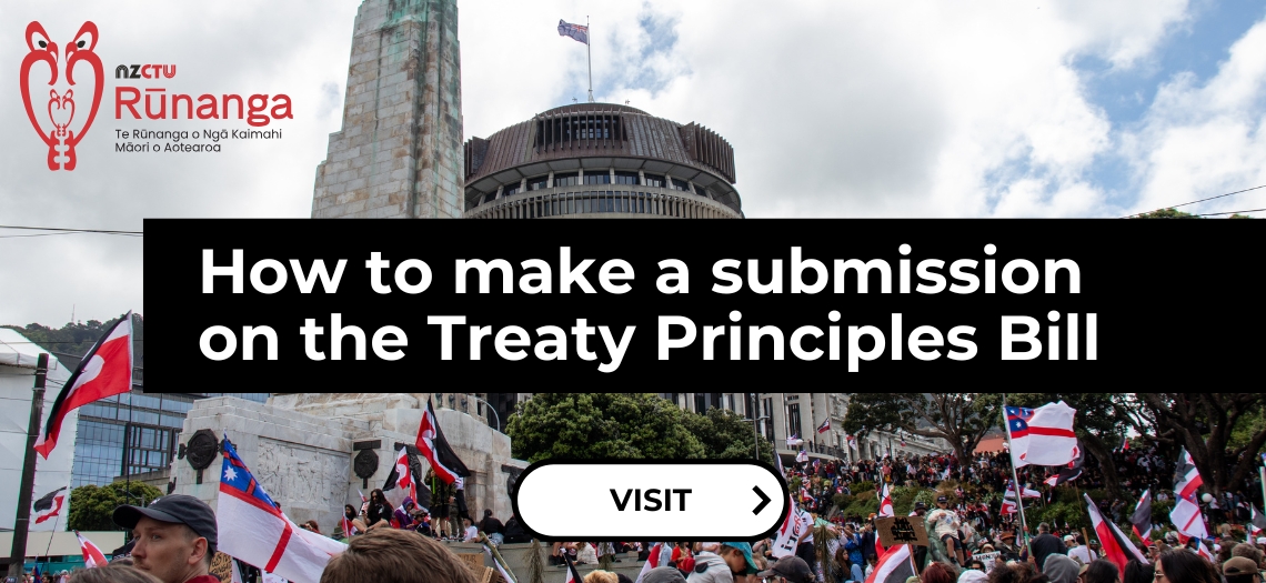 How to make a submission on the Treaty Principles Bill