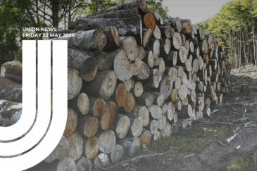A large stack of freshly cut logs piled horizontally in a forestry setting, with the cross-sections of the timber facing the camera showing varied wood grain in pale and golden tones. Green forest and trees are visible in the background. Overlaid in the top-left corner is white text reading "UNION NEWS / FRIDAY 22 MAY 2026" alongside the CTU logo.