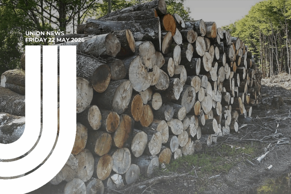 A large stack of freshly cut logs piled horizontally in a forestry setting, with the cross-sections of the timber facing the camera showing varied wood grain in pale and golden tones. Green forest and trees are visible in the background. Overlaid in the top-left corner is white text reading "UNION NEWS / FRIDAY 22 MAY 2026" alongside the CTU logo.